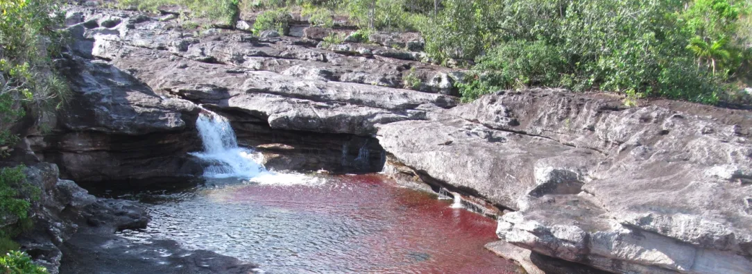 cano-cristales-Cortesia-Parques-Nacionales.jpg