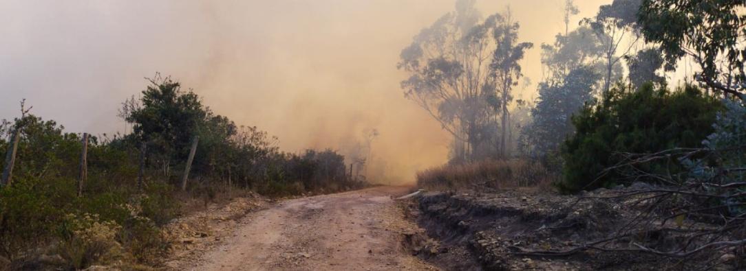 incendio-guatavita-1.jpg