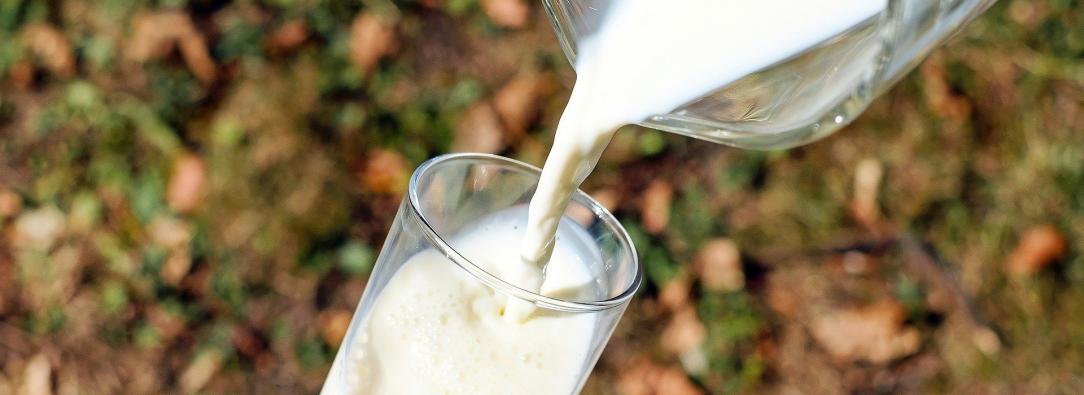 leche-Antioquia.jpg