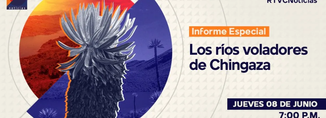 los-rios-voladores-de-Chingaza1.jpeg
