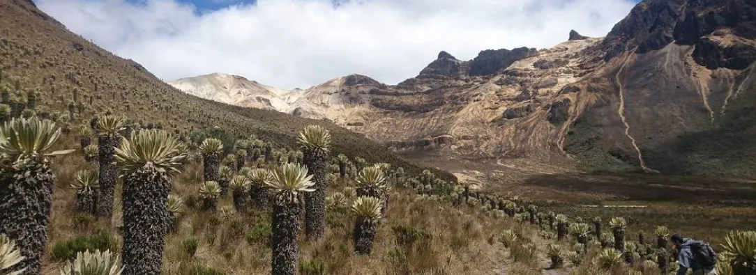 paramos-colombia.jpg