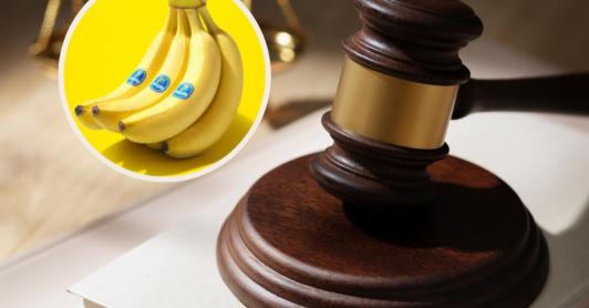 Fallo histórico a directivos de Chiquita Brands. / Fotos: Freepik y Chiquita Brands.