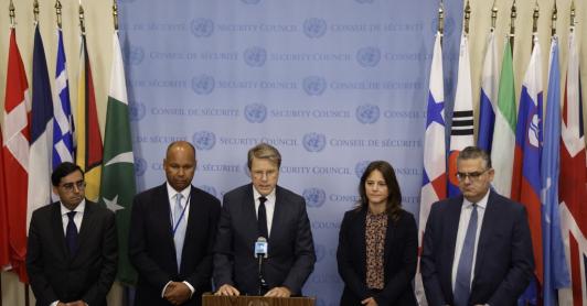 Declaración pública ONU.