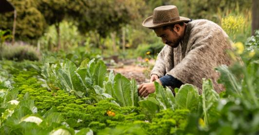 Colombia impulsa su transformación económica con reforma agraria histórica