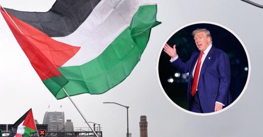 Carta a Trump para exigir fin del genocidio en Gaza. / Fotos: AFP.