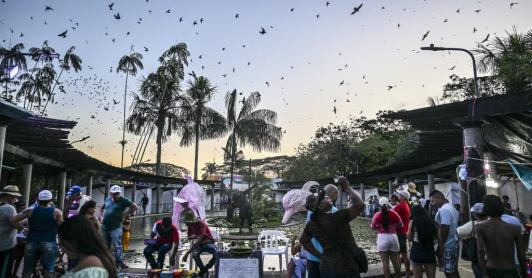 Turismo en Leticia.