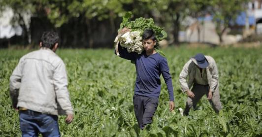 Colombia registra la tasa de desempleo más baja en 24 años para el mes de agosto