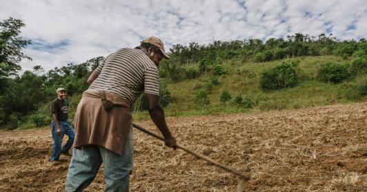 Agro colombiano genera 4,8 millones de empleos