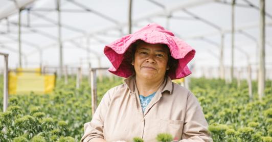 Impulso a la economía colombiana en las mujeres. / Foto: Dirección de Mujer Rural.
