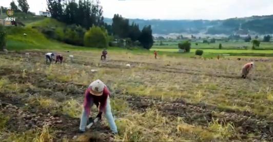 Convocatoria fondo emprender para firmantes de paz que trabajan en el campo