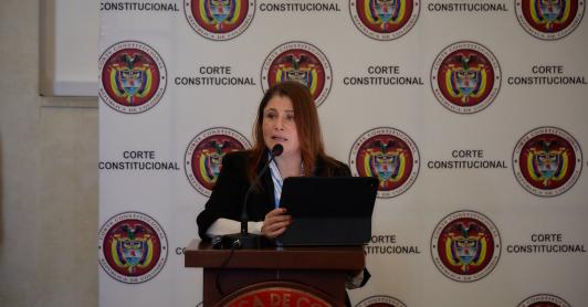 Defensora del Pueblo