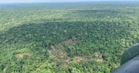 La ofensiva, autorizada por el presidente Petro, busca debilitar el poder militar y narcotraficante de las disidencias comandadas por alias Mordisco en el sur del país. 