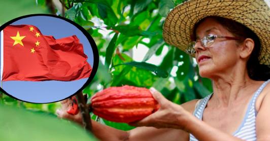 China abre sus puertas al agro colombiano en la VIII Exposición Internacional de Importaciones