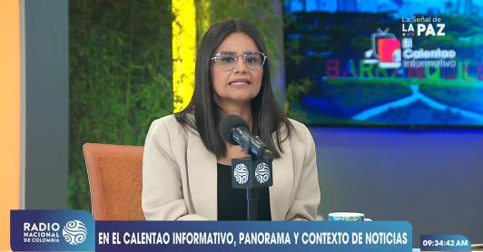 'Expreso mi solidaridad con RTVC (...) el pueblo colombiano tiene derecho a informarse bien': directora del Dapre 
