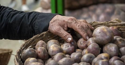 Inflación de noviembre desciende a 5,30% impulsada por caída en precios de alimentos