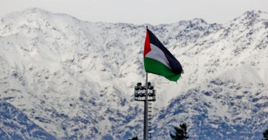 Club Palestino en Chile. / Foto: Página oficial de Palestino.