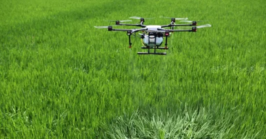 Gobierno autorizó erradicación focalizada de cultivos ilícitos con drones