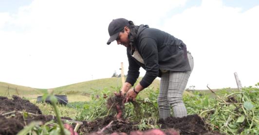 Actividades de agricultura en el ISE 2025. / Foto: X MinAgricultura.