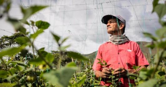 Empleo en Colombia. / Foto: Radio Nacional de Colombia.