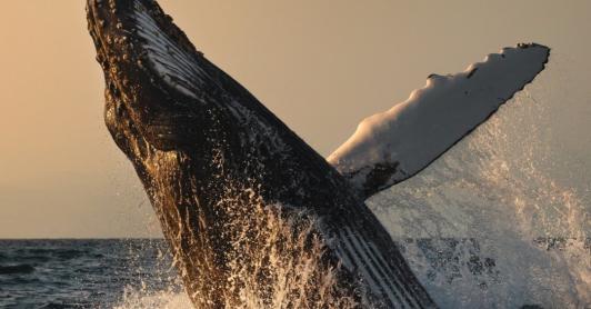 Turismo en Colombia. / Foto: Colombia Travel.