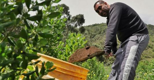 Gobierno desembolsó $48,1 billones en créditos agropecuarios durante 2025, superando la meta en 12%