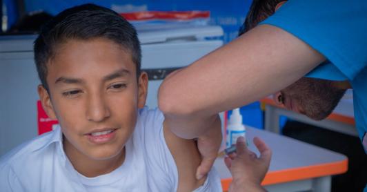 No viaje a zonas endémicas sin vacuna contra la fiebre amarilla.