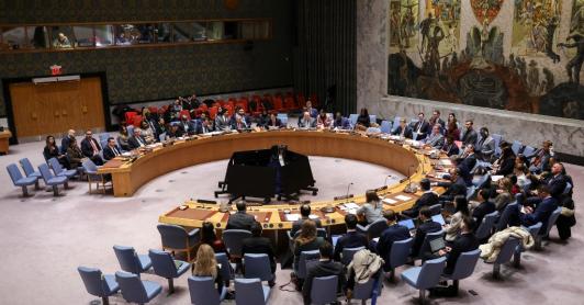 Venezuela: Consejo de Seguridad de la ONU se reunirá este lunes.