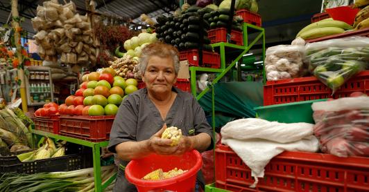 Supersolidaria informa que se hicieron desembolsos por $11,2 billones a economía popular en 2025
