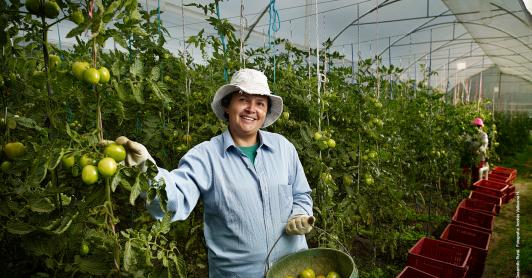 Pacto por el Crédito alcanza 89,6% de la meta y suma $228,1 billones desembolsados