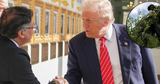 Petro propone a Trump erradicación manual de coca