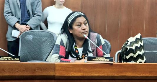 Senadora indígena, Aida Quilcue, fue liberada según lo confirmó el alcalde del municipio de Inzá, Cauca