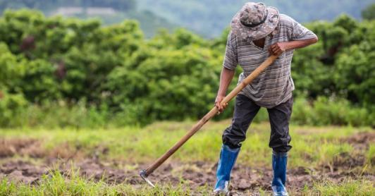 Gobierno presenta cifras históricas en entrega de tierras, producción alimentaria y reducción de pobreza rural