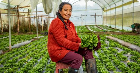 Incremento del presupuesto agropecuario llega a 139%