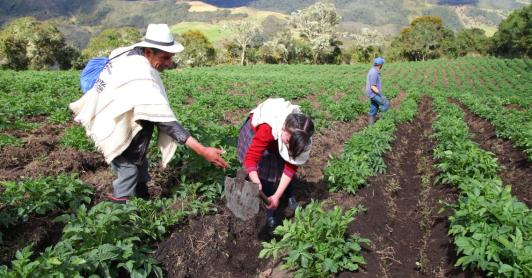 Gobierno pide acelerar la Jurisdicción Agraria ante la Corte Constitucional para resolver conflictos de tierras