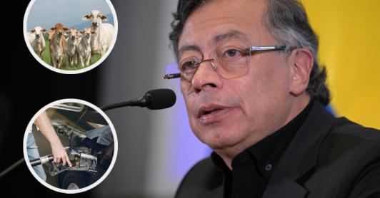 Petro sobre medidas de exportación de carne y gasolina. / Fotos: AFP, Radio Nacional y Freepik.