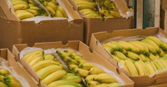 Exportaciones en febrero. / Foto: MinAgricultura.