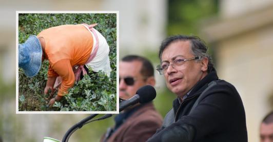 Presidente Petro sobre reducción de cultivos ilícitos. / Fotos: Presidencia y Radio Nacional de Colombia.