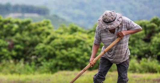Más de 1,8 millones de hectáreas devueltas: la reforma agraria le cambia la vida a medio millón de víctimas del conflicto