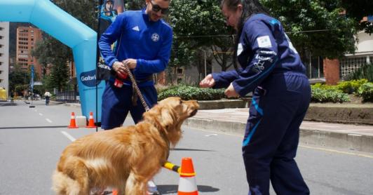 Las ciclovías de Bogotá contarán con nuevas estaciones para mascotas y sus cuidadores, con actividades de bienestar, recreación y nutrición animal disponibles desde mayo y hasta final de año.