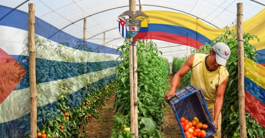 Cuba ayuda humanitaria Petro Colombia