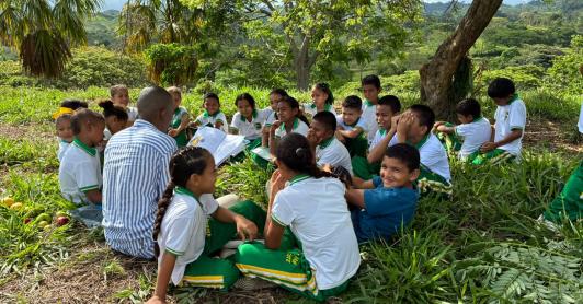 Día del profesor: enseñar a soñar desde la complejidad de la labor docente en Colombia