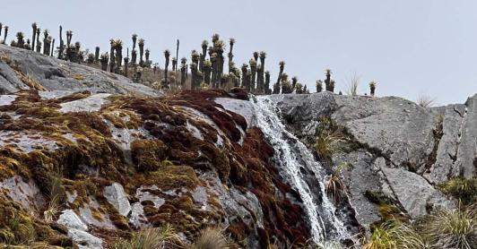 Protección ambiental: Gobierno destacó reducción histórica