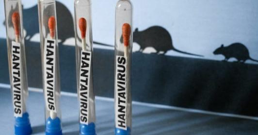  número de casos de hantavirus detectados