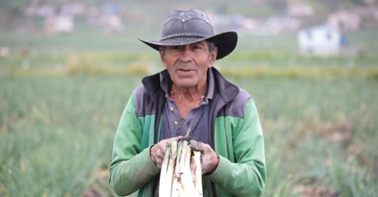 Judicatura y Gobierno urgen al Congreso aprobar la Jurisdicción Agraria antes del 20 de junio