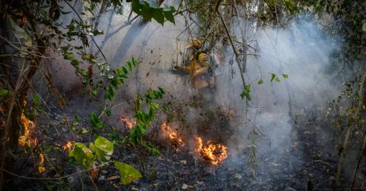 Colombia en alerta por incendios: 114 municipios bajo amenaza