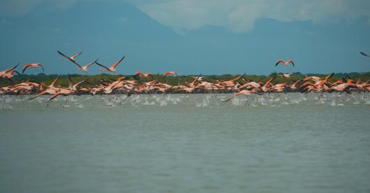 Gobierno nacional actualiza la Política Nacional del Agua con enfoque de protección y justicia ambiental