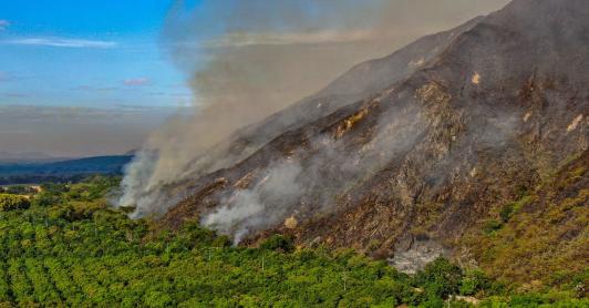 Más de $9.000 millones y ayudas para el campo: así será la recuperación del Tolima tras los incendios forestales
