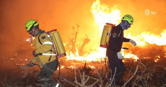 Una colilla, una fogata, un desastre: así puede prevenir incendios forestales
