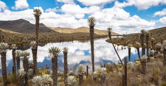 En los Andes, El Niño seca el agua de la que depende el 70 % de los colombianos