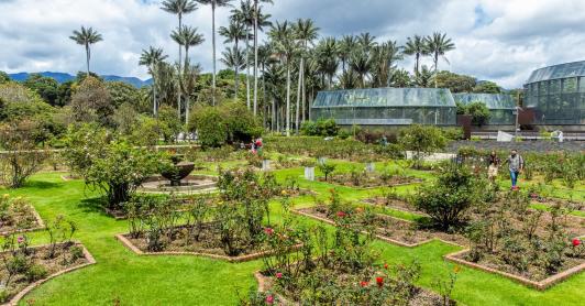 Cómo ser aliado gastronómico con el Jardín Botánico de Bogotá